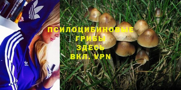 стафф Гусев