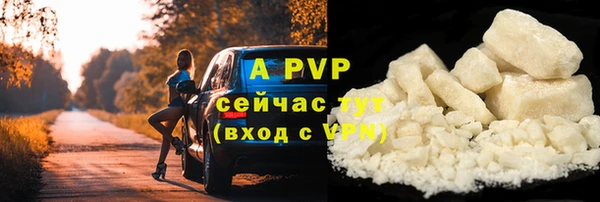 сатива Гусь-Хрустальный