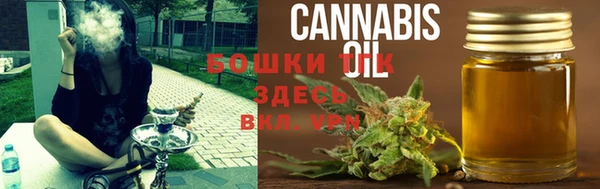 стафф Гусев