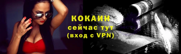 сатива Гусь-Хрустальный