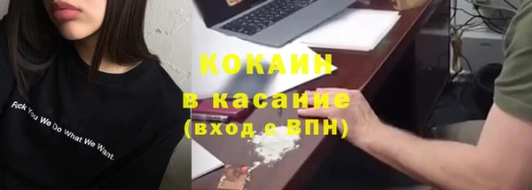 сатива Гусь-Хрустальный