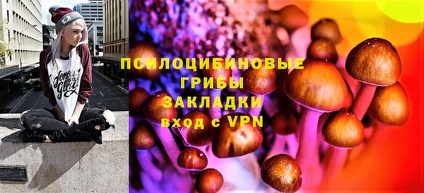 стафф Гусев