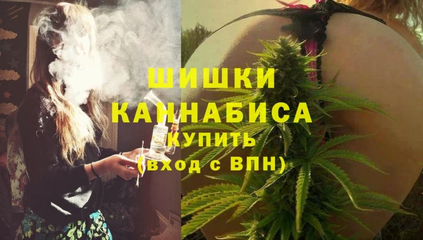 сатива Гусь-Хрустальный