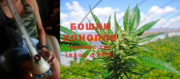 стаф Дмитров