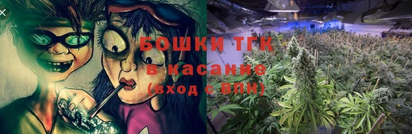сатива Гусь-Хрустальный