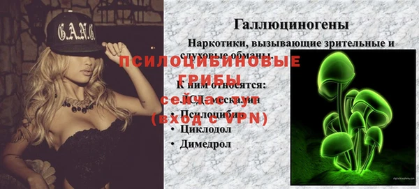 стафф Гусев
