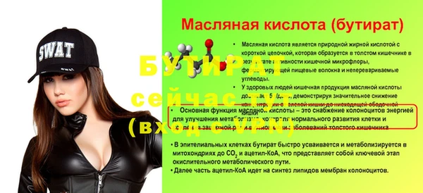 сатива Гусь-Хрустальный