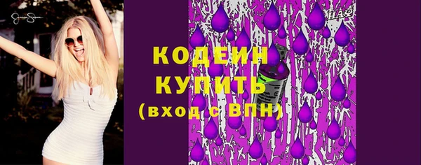 сатива Гусь-Хрустальный