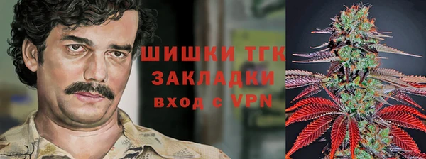 стафф Гусев