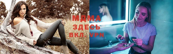 стафф Гусев