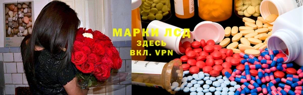 сатива Гусь-Хрустальный